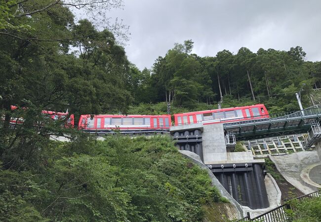 公園のように整備された