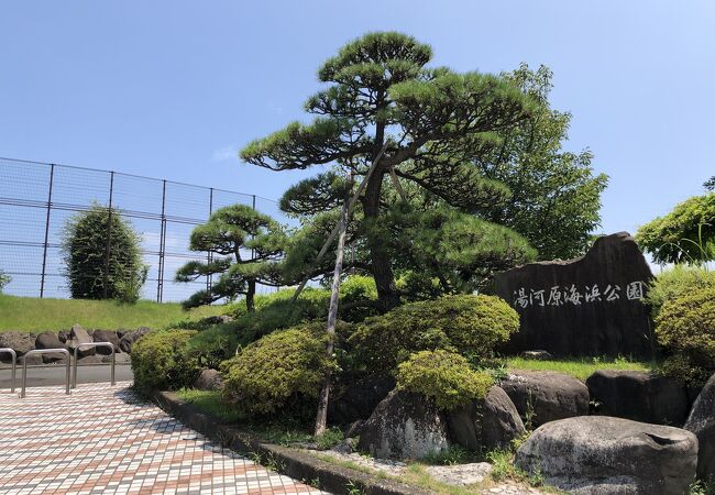湯河原温泉のおすすめ観光スポット クチコミ人気ランキングtop 2ページ フォートラベル 神奈川県