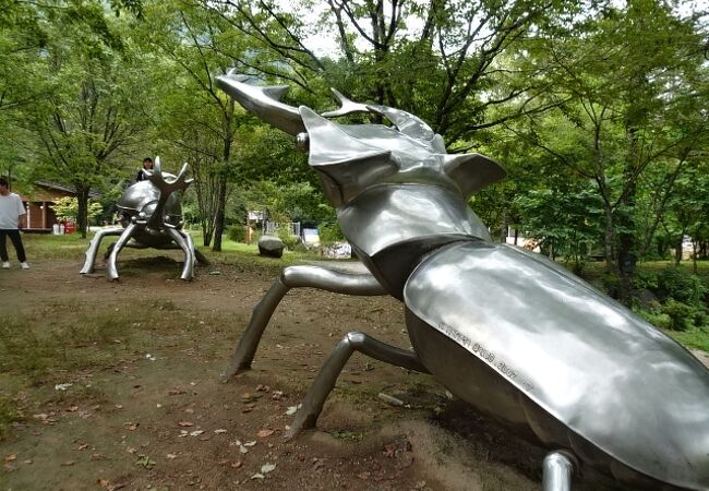 森と水のアウトドア体験広場の花の庭