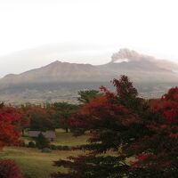 ホテル庭からの眺め