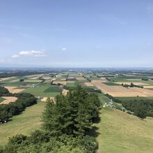 新嵐山スカイパーク展望台