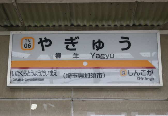 渡良瀬遊水地へもっとも近い駅です