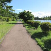 湖畔の遊歩道散歩もおすすめです