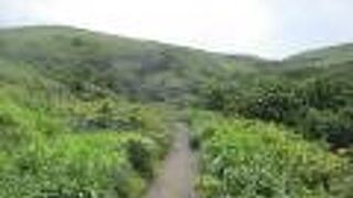 礼文林道コース