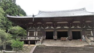 高雄山の中腹、標高200メートルだけど、山歩き、階段が辛い辛い。