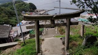 男木島を代表するビューポイントの豊玉姫神社は猫の楽園だった