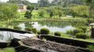 湧水をいろいろなことに利用していました