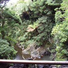 こんな景色が見られます。