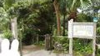 無料ですが、水着必須！野趣あふれる露天風呂温泉！