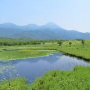 高架木道からでも見える唯一の湖