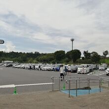 今年は、さすがに駐車場もずいぶん空いてましたね。