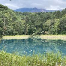 るり沼。