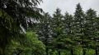 スペースはありますが