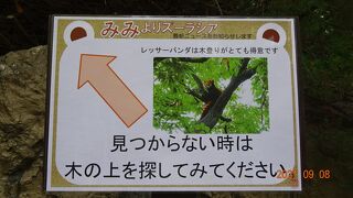 曜日に関わらず、入園には整理券の事前予約が必要となっています。（2021年9月）