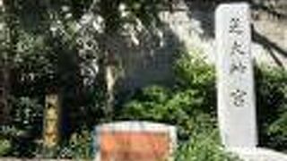 昔は生姜畑だったそうです。