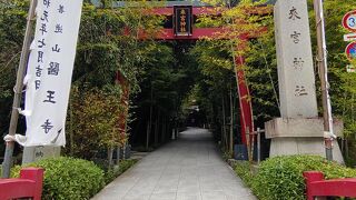 2本の大楠のある熱海の映え神社