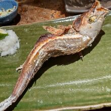 イサキ塩焼き