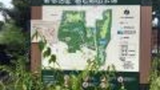 目白駅から歩いて公園へ