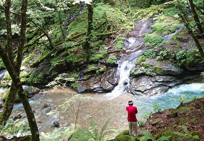 素廉の滝