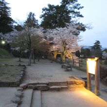 松江城 (千鳥城)