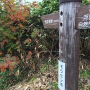 展望台まで行くならちょっと登山っぽい