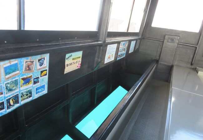 竹富島 マリン倶楽部 クチコミ アクセス 営業時間 竹富島 フォートラベル