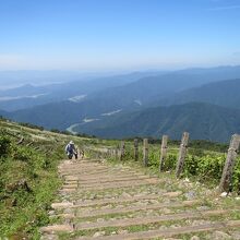 帰りは近道の登山道を下る