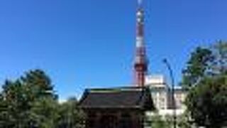 近くの歩道橋からキレイに東京タワーとのツーショットが撮れます。