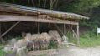 長野と岐阜の県境  水を汲みに