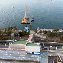 緑と遊歩道のある公園