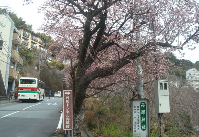 丹那神社