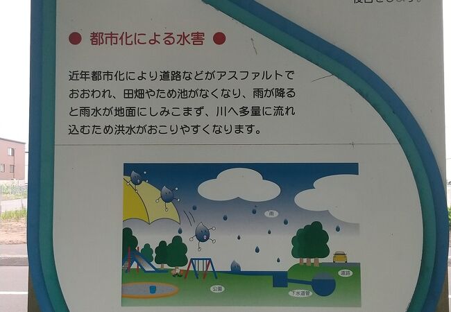 この地域を見守ってきた原生林「ひのまる公園」