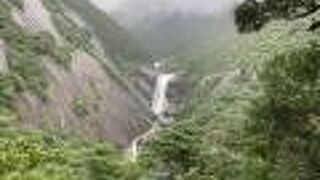 ヤマビルだらけのため、泣く泣く途中で断念