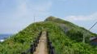 フェリーターミナルからすぐ