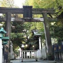 16年 鳥越神社例大祭 浅草 東京 の旅行記 ブログ By うめさん フォートラベル