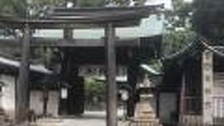 蹴鞠が奉納される