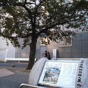 駒込駅そば、染井吉野の記念碑や桜の木が見どころの公園