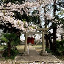 八鶴湖につきでた弁天島に建つ「厳島神社 谷弁財天」