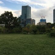 東京ミッドタウンの近くの公園