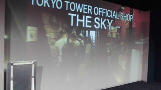 値段は高いが景色は最高