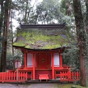 屋根の苔は年代を感じさせます