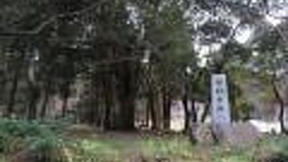 現在は立ち寄る人も少ない廃寺跡