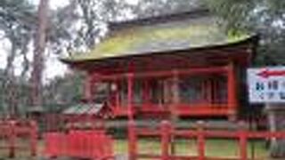 屋根部分が苔むした神社