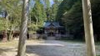 結構階段を登ります