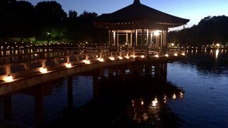 古都奈良の、幻想的な夜。