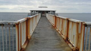 けっこう楽しみました