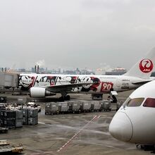 ミッキーマウスの飛行機がいました。