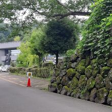 仙台城の三の丸跡にあり、石垣に守られているように見えます