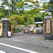 入園無料で日中は誰でも自由に出入りできる本格的な日本庭園としてお勧めできます！