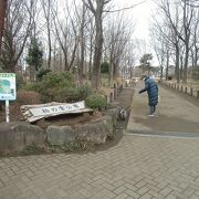 水田も日本庭園もあります